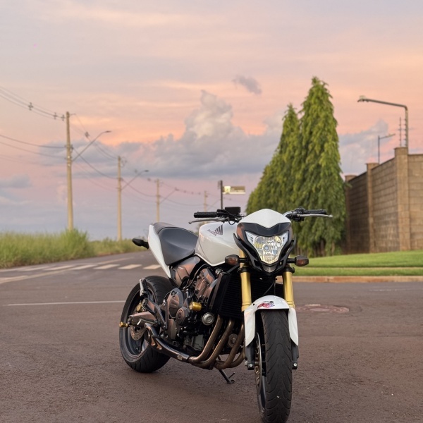 HORNET 600